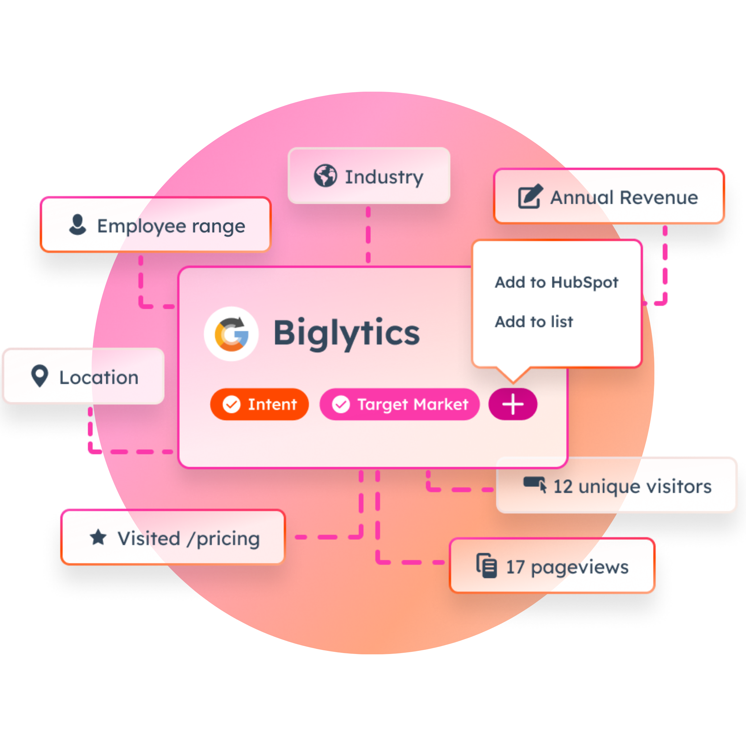 HubSpot BigLytics